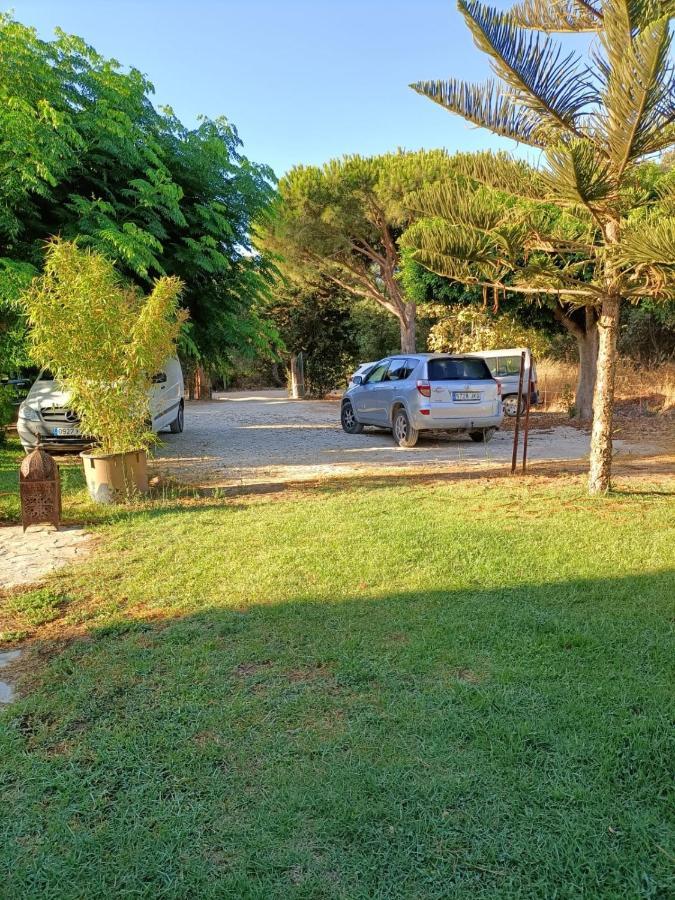 El Palomar Alloggio in famiglia *