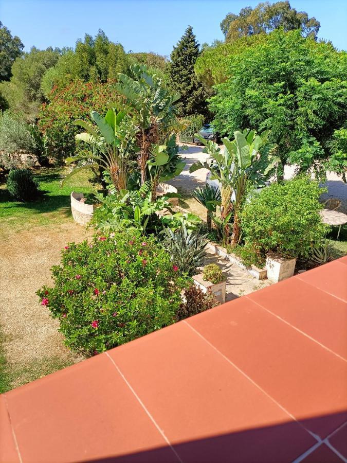 Homestay El Palomar *